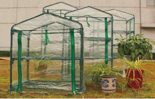 CLM-025 Greenhouse